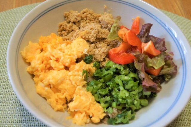 豆腐そぼろ丼.