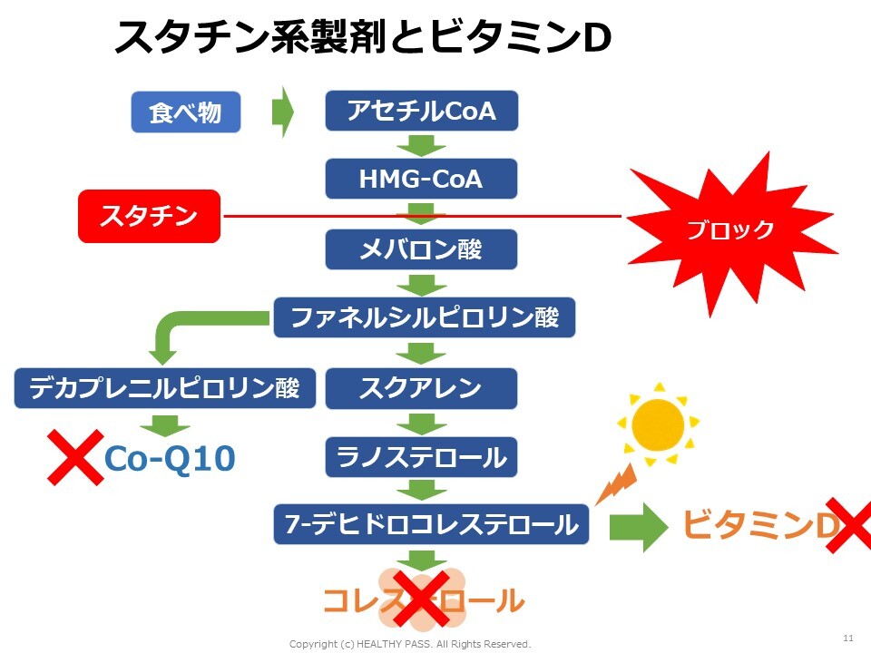フィブラーテス系