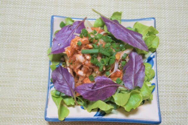 鶏もも肉の香味ダレ