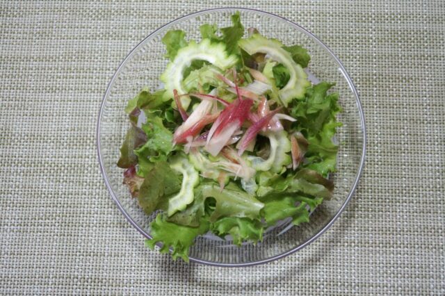野菜サラダ 豆乳ゴマわさびドレッシング