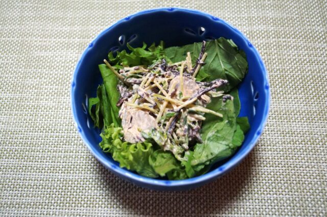 ごぼうとひじきのサラダ