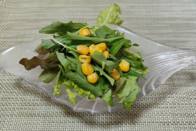 野菜サラダ 豆乳梅ドレッシング