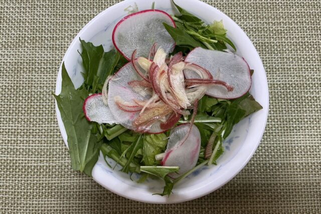 野菜サラダ《塩麹レモンドレ》