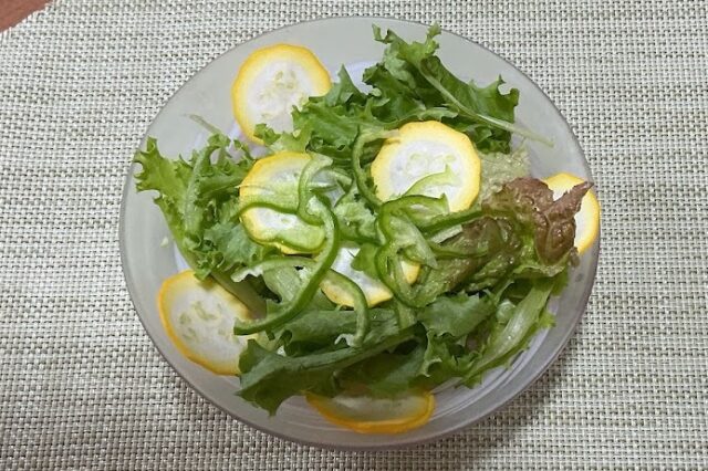 野菜サラダ《しそゴマドレ》