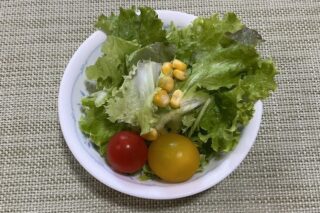 野菜サラダ《醤油ワサビドレ》
