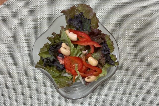 野菜サラダ《生姜ゴマ味噌ドレ》