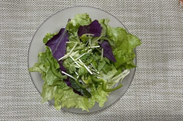 野菜サラダ《和風玉ねぎドレ》