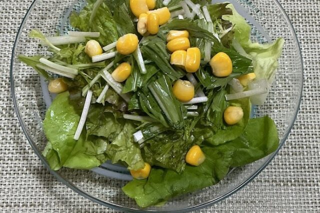 野菜サラダ《黒ゴマドレ》⭐︎