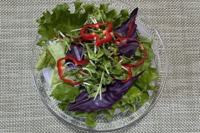 野菜サラダ《醬油麴ドレ》